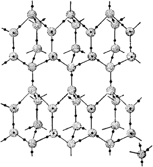 Chemical Properties Of Water That Make Life Possible