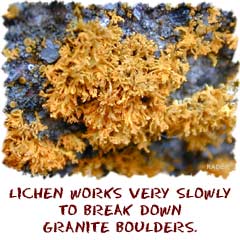 Chemical Weathering Of Rocks Diagram