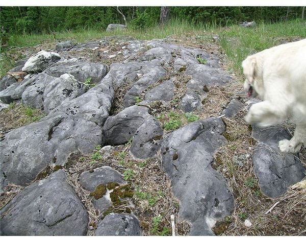 Chemical Weathering Of Rocks Examples