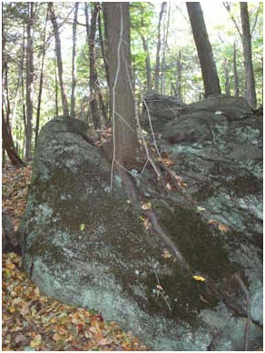 Chemical Weathering Of Rocks For Kids