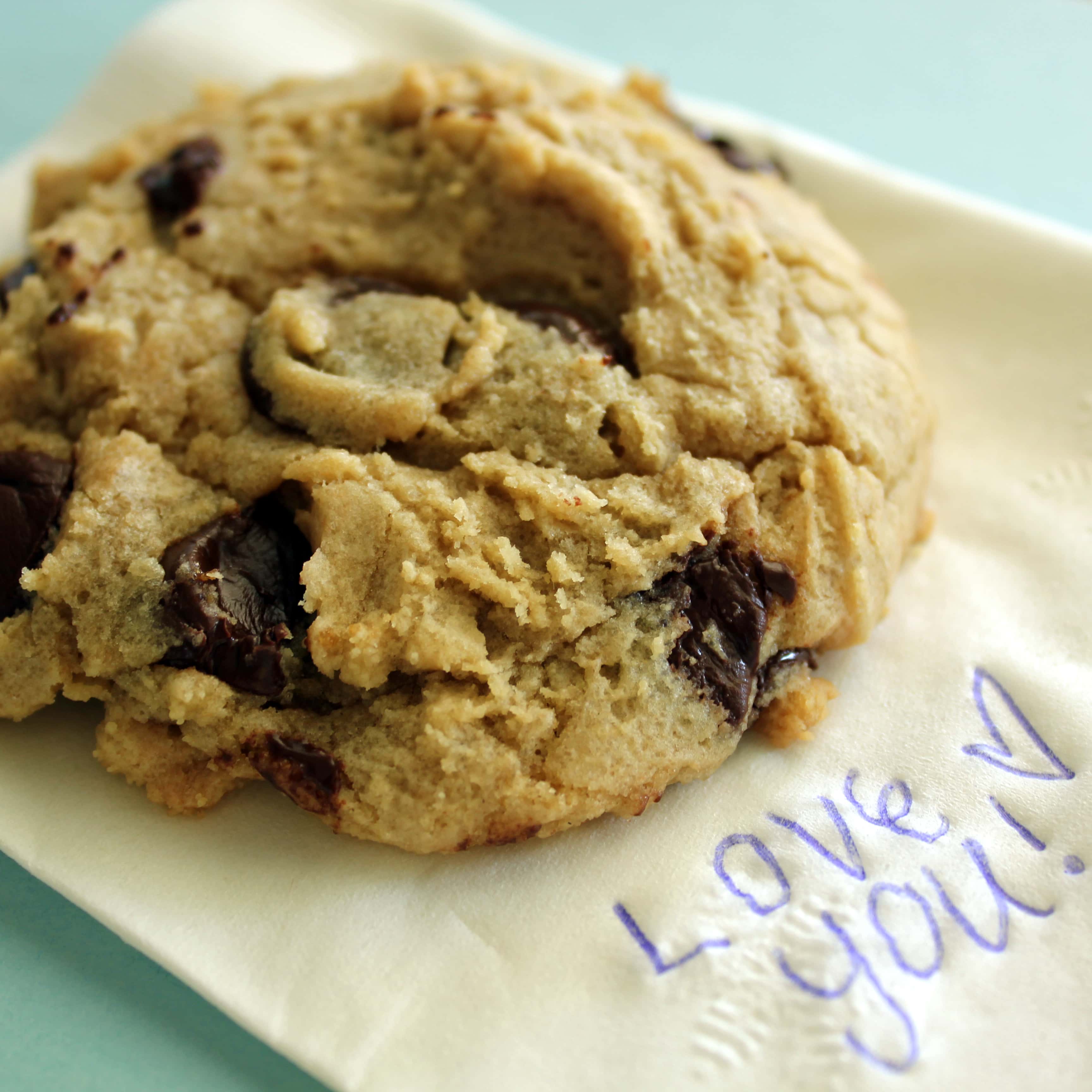 Chewy Chocolate Chip Cookies Recipe