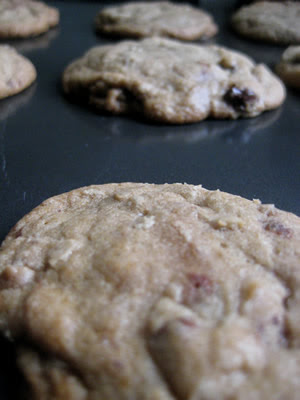 Chewy Chocolate Chip Cookies Recipe Without Baking Soda