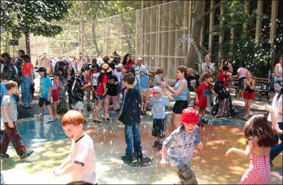 Children Playing In The Park Images