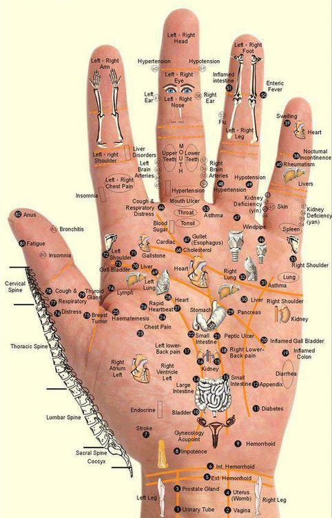 Chinese Medicine Pressure Points Chart