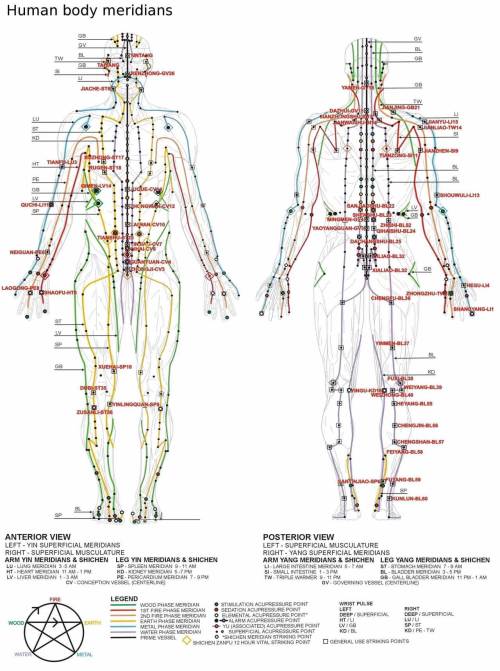 Chinese Medicine Pressure Points Chart