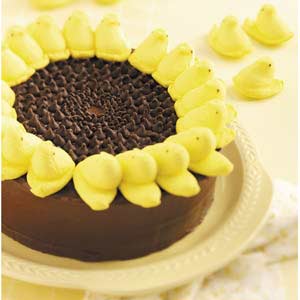 Chocolate Cake Decorations Ideas