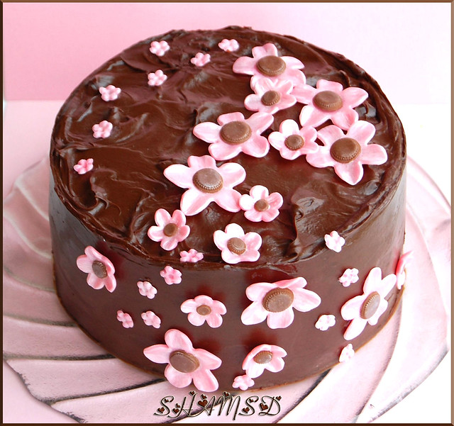 Chocolate Cake Pictures For Facebook