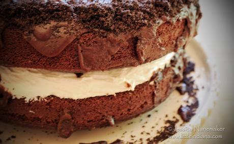 Chocolate Cake Recipes With Pictures