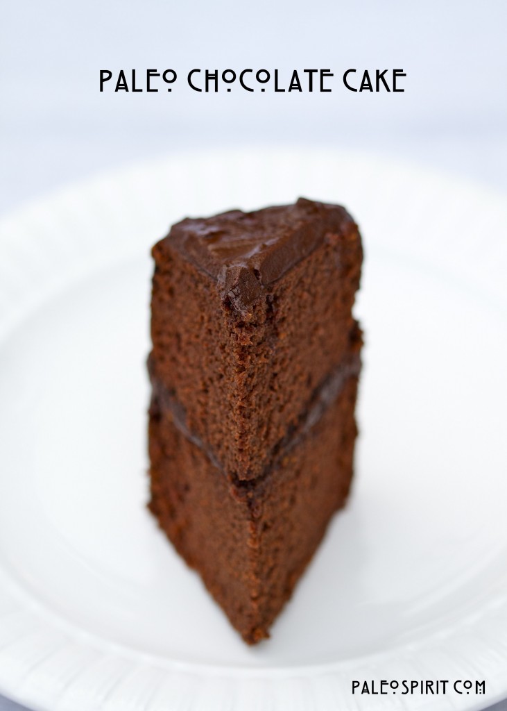 Chocolate Cake Slice Nutrition