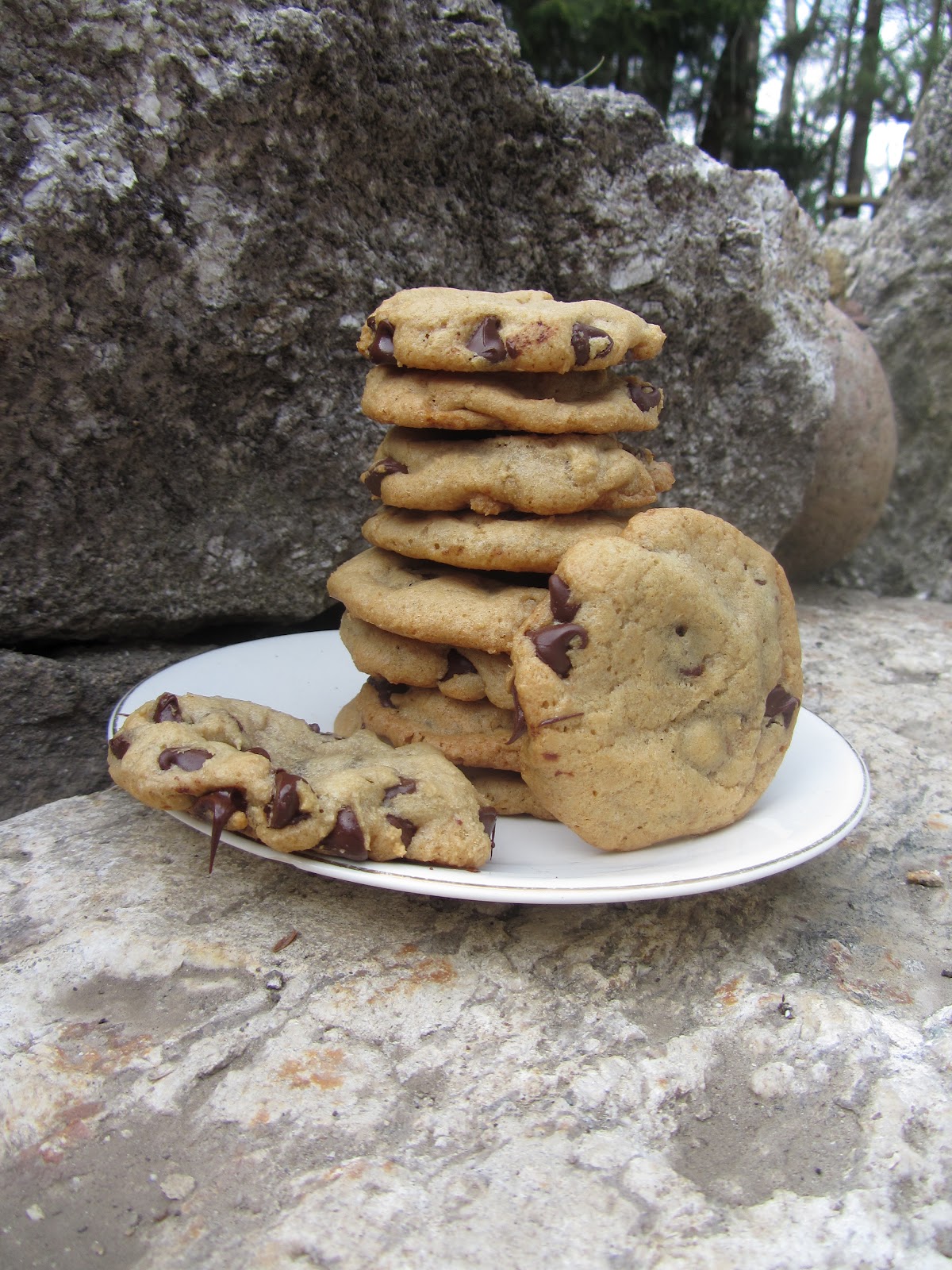 Chocolate Chip Cookies Chewy Vs Crisp