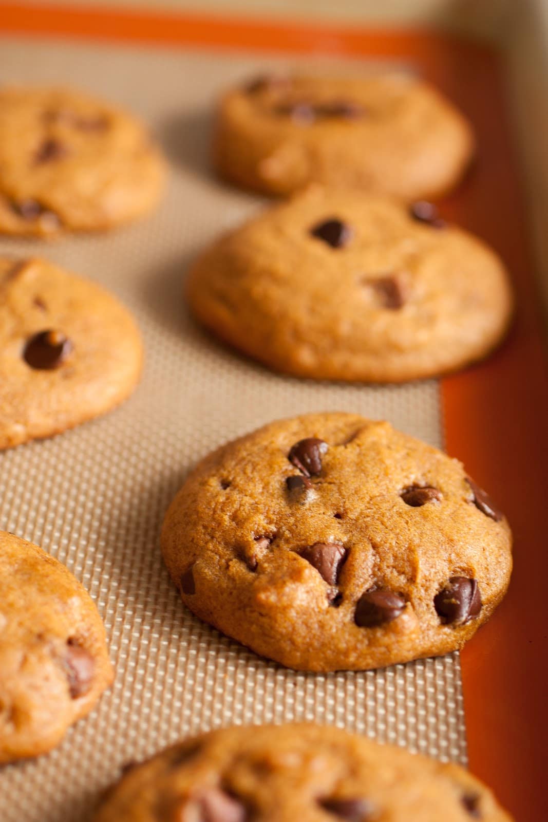 Chocolate Chip Cookies Images