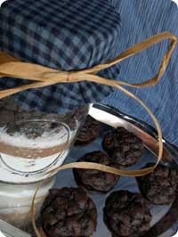 Chocolate Chip Cookies In A Jar Gift Recipe