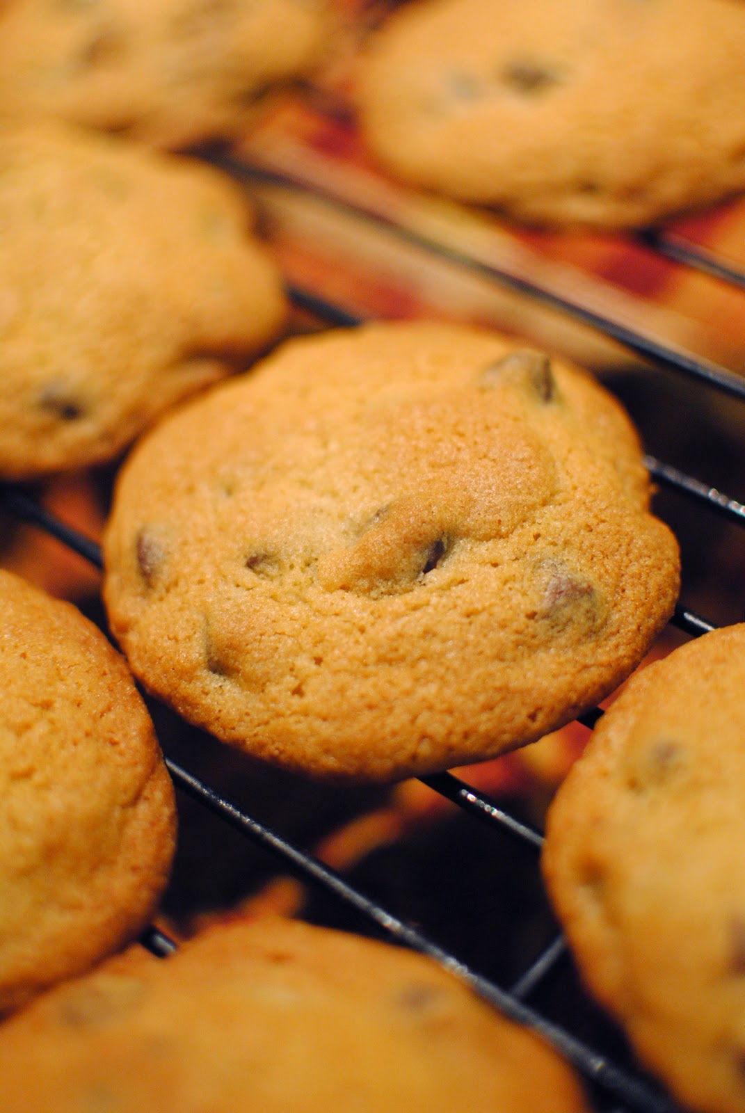 Chocolate Chip Cookies In A Jar Nestle