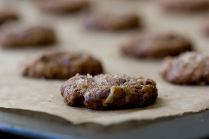 Chocolate Chip Cookies Recipe Easy Kids