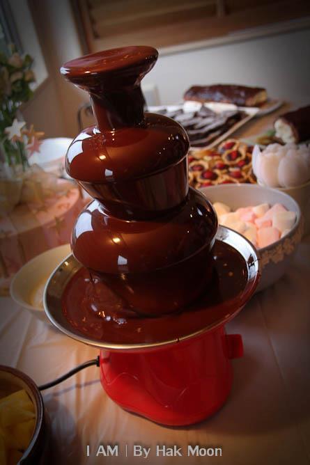 Chocolate Fountain Bird