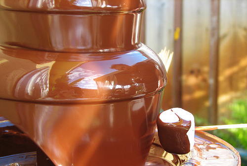 Chocolate Fountain Bird Tumblr