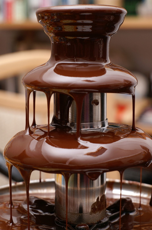 Chocolate Fountain Bird Tumblr