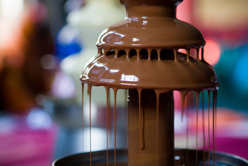 Chocolate Fountain Bird Tumblr