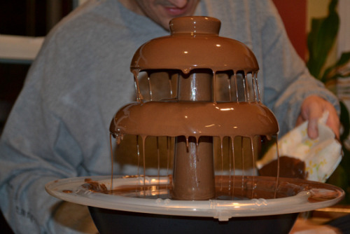 Chocolate Fountain Bird Tumblr