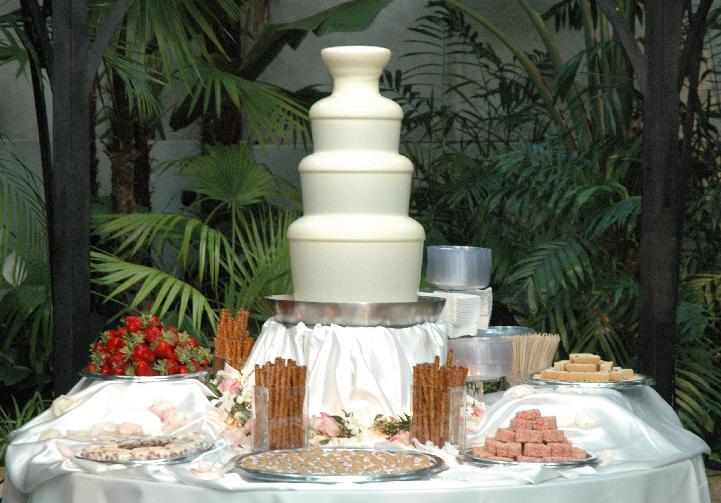 Chocolate Fountain Wedding