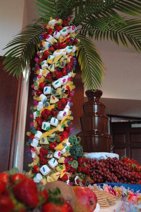 Chocolate Fountain Wedding Reception