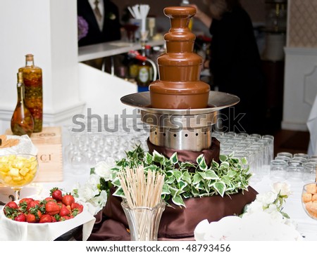 Chocolate Fountain Wedding Reception