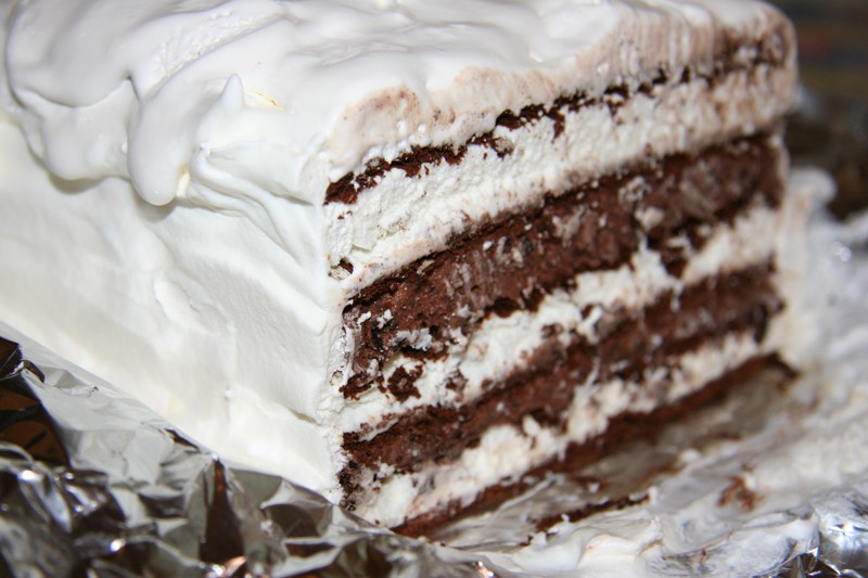 Chocolate Ice Cream Cake