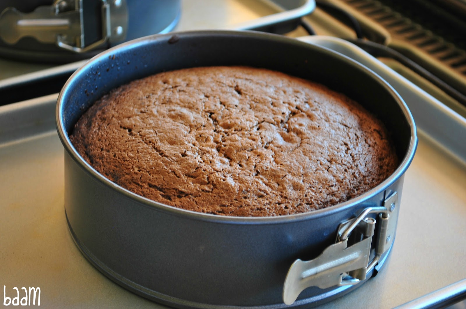 Chocolate Ice Cream Cake Frosting