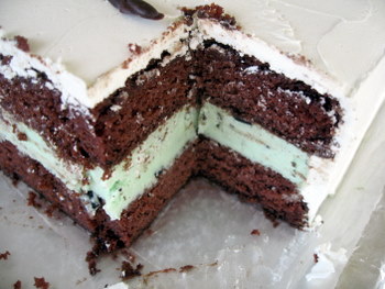 Chocolate Ice Cream Cake Recipe