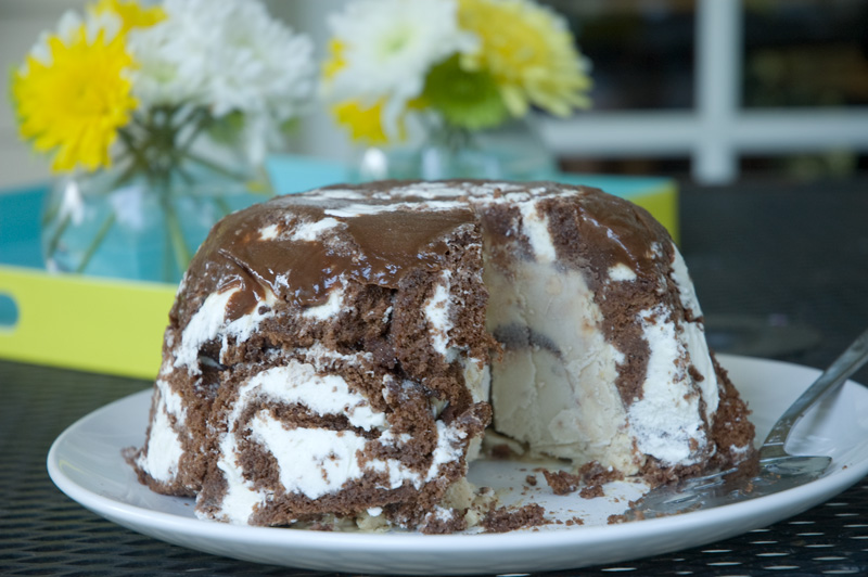 Chocolate Ice Cream Cake Roll Recipe