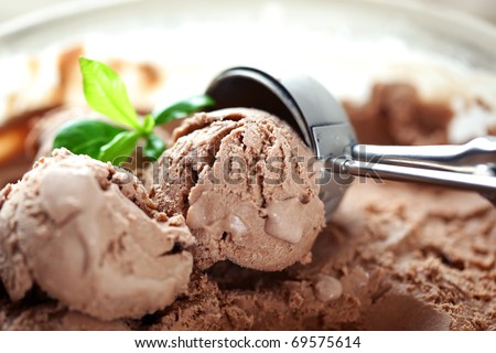 Chocolate Ice Cream In A Bowl