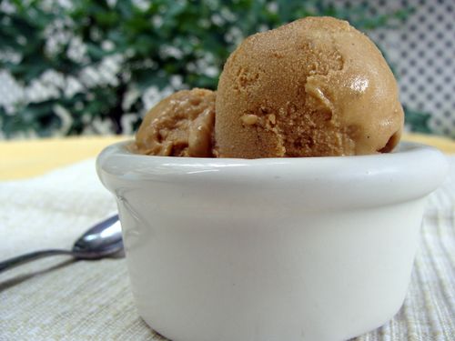 Chocolate Ice Cream Recipe Cuisinart