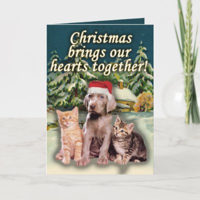 Christmas Cards Messages For Friends