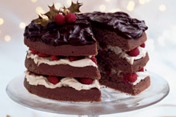 Christmas Chocolate Cake Images