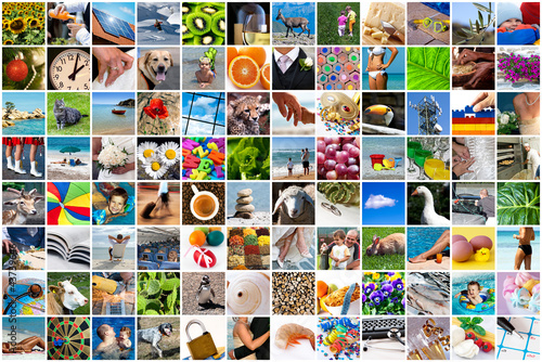 Colors Of Life Collage