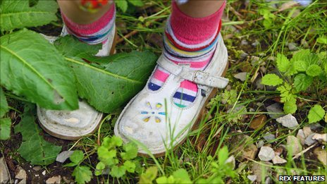 Common Lawn Weeds Uk