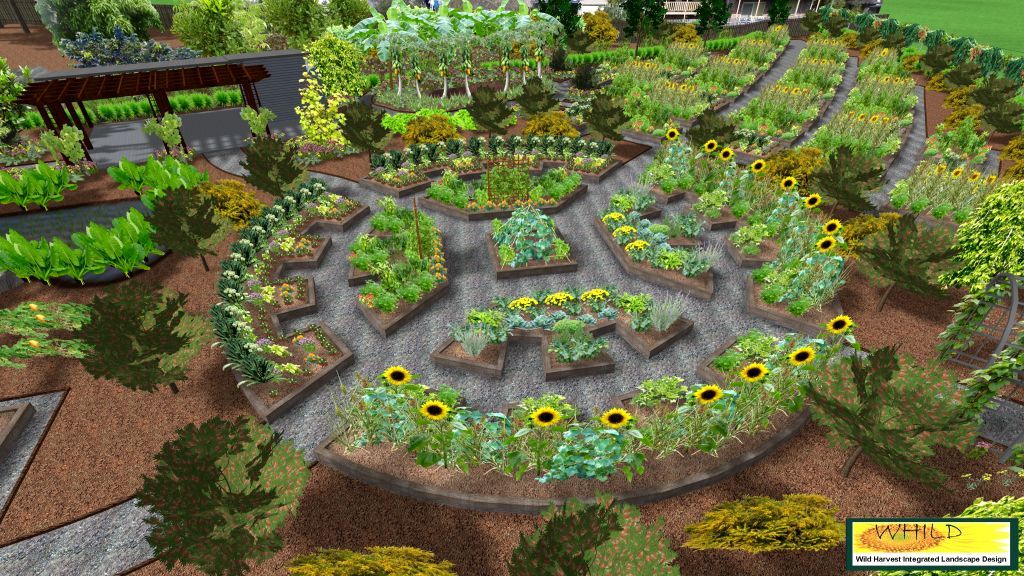 Community Garden Design Ideas