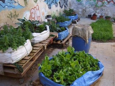 Community Garden Design Ideas