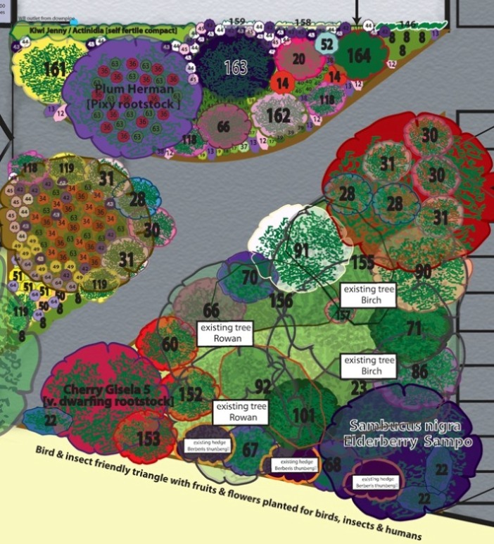 Community Garden Design Plans