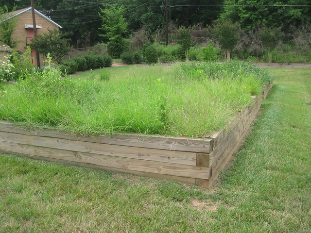 Community Garden Plots Dc