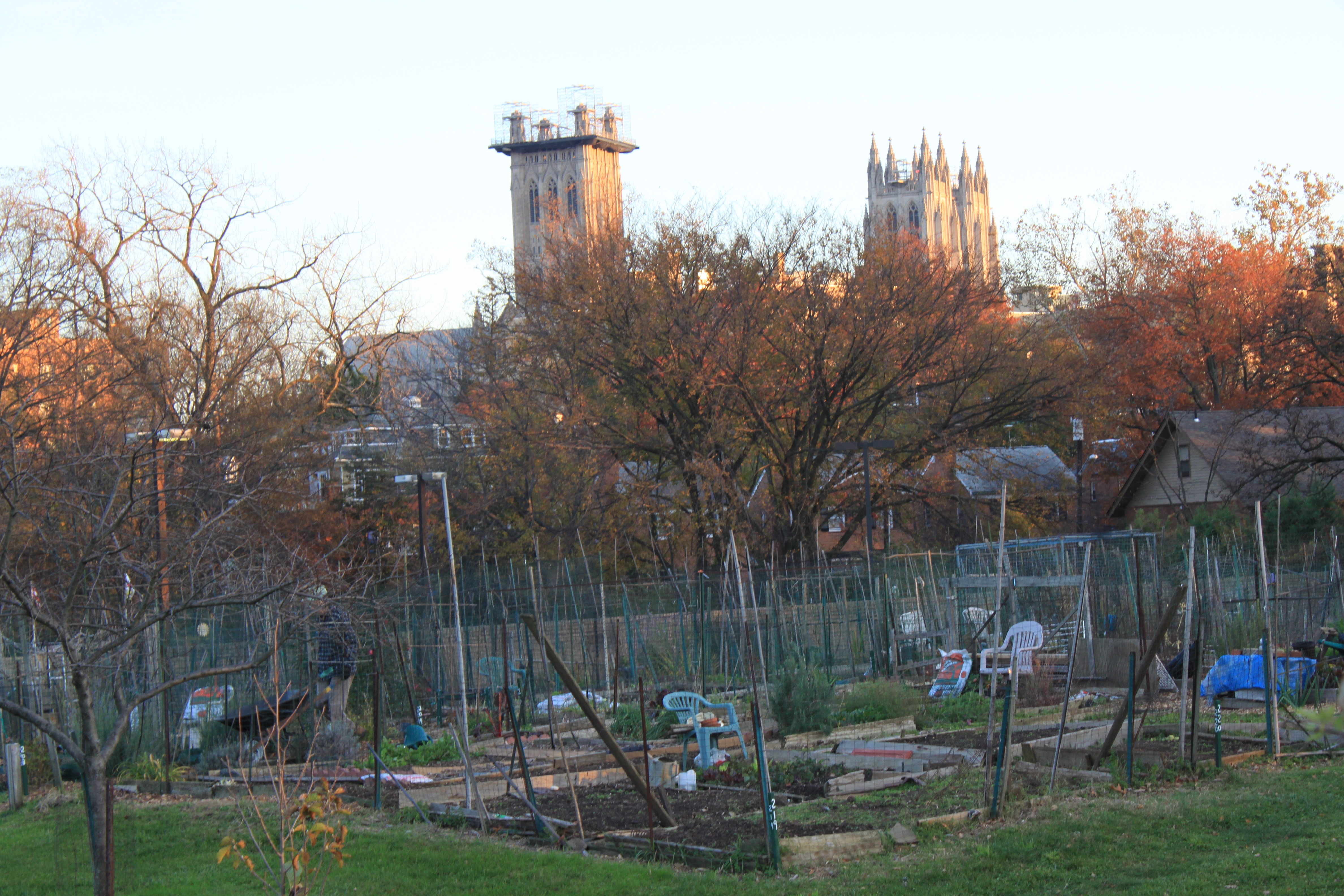 Community Garden Plots Dc