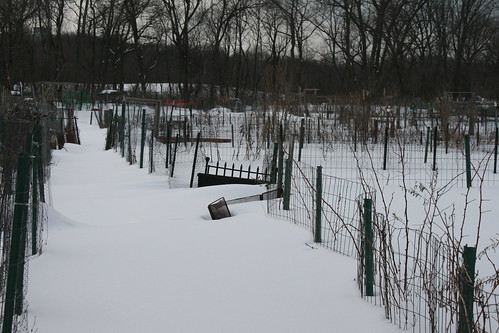 Community Garden Plots Denver