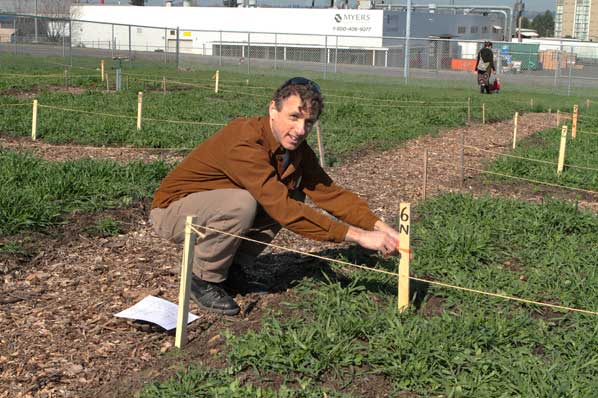 Community Garden Plots Denver