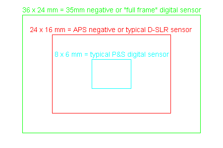 Compact Camera Sensor Size Comparison