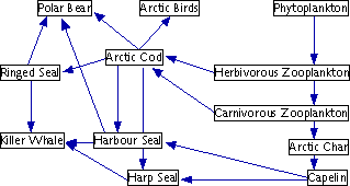 Compare And Contrast Food Web And Food Chain