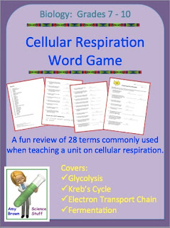 Compare And Contrast Photosynthesis And Cellular Respiration Worksheet