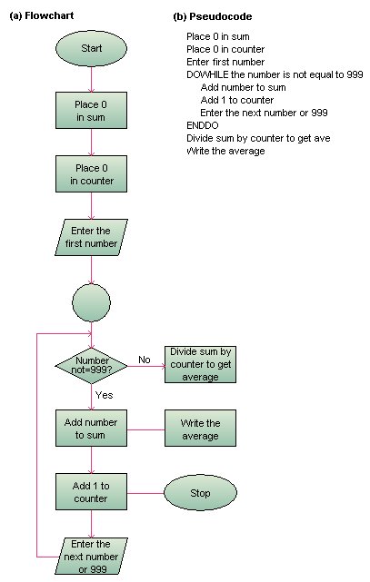 Computer Programming Flowchart Software