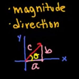 Contributions Of Physics To Other Sciences