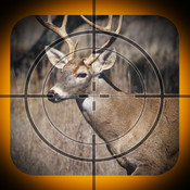 Cool Deer Hunting Wallpaper