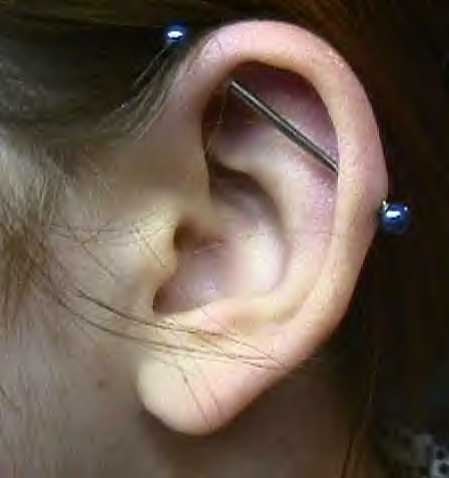 Cool Industrial Piercing Bars